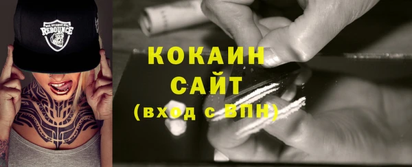 spice Богородск