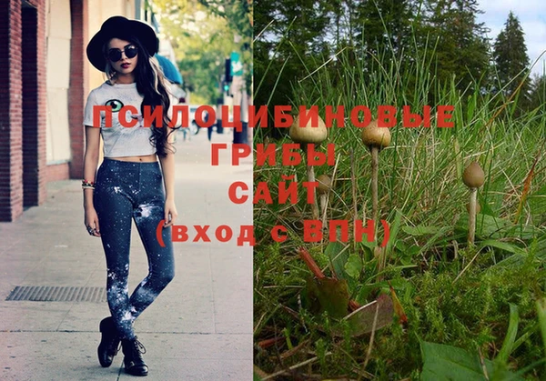 тгк Верхний Тагил