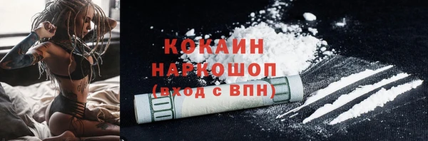 spice Богородск