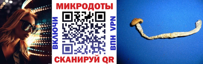 MEGA как зайти  Светогорск  Псилоцибиновые грибы мухоморы 